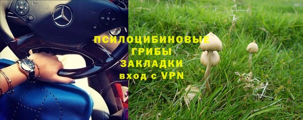 СК Арсеньев