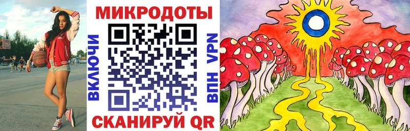 Псилоцибиновые грибы Psilocybine cubensis  ссылка на мегу как зайти  Сланцы 